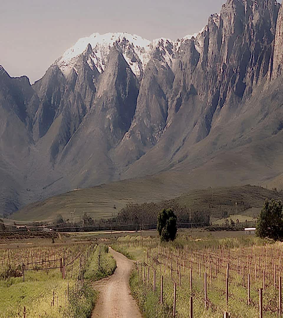 background_image